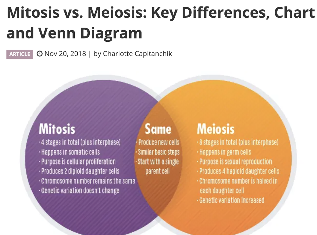 Compare And Contrast Mitosis And Meiosis